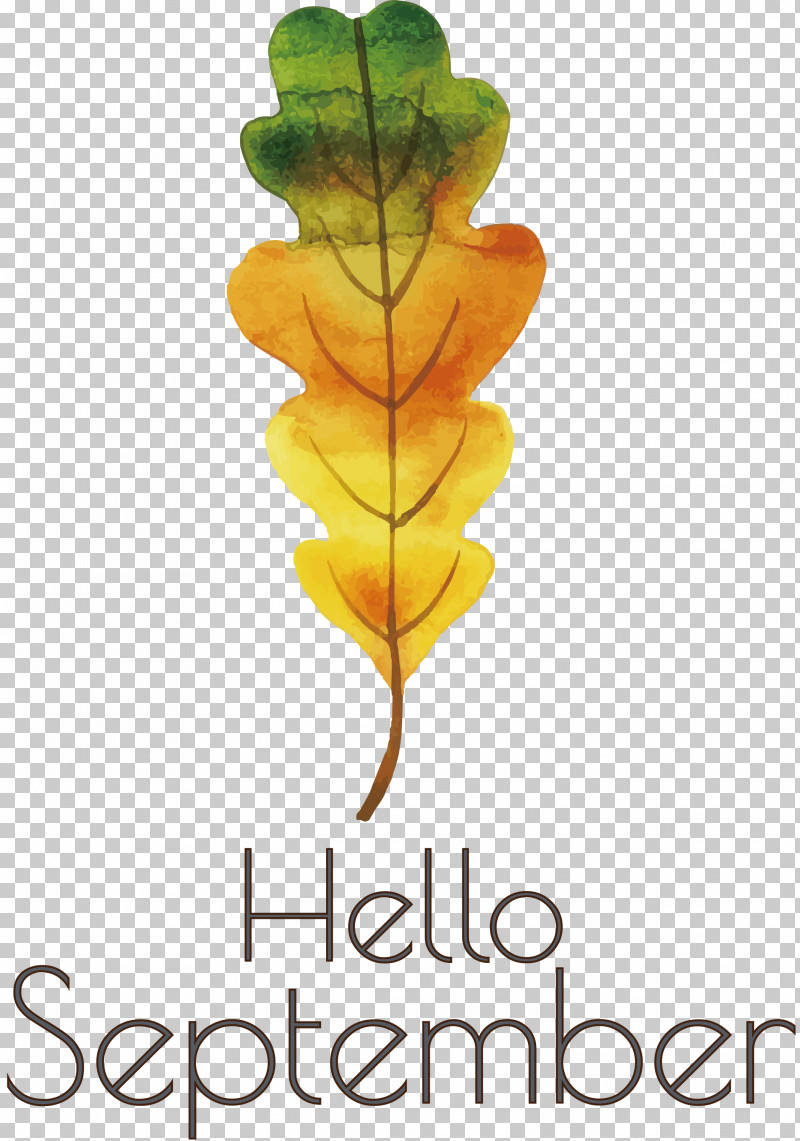 Hello September September PNG, Clipart, Cartoon, Drawing, Flower, Hello September, Logo Free PNG Download