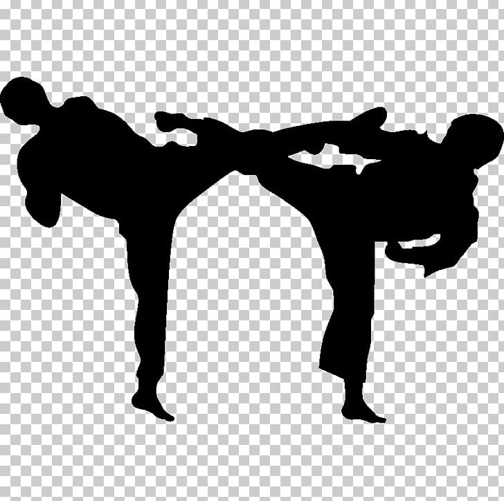 Karate Martial Arts Sport Tang Soo Do Budō PNG, Clipart, Black And White, Budo, Chinese Martial Arts, Horse Like Mammal, Human Behavior Free PNG Download
