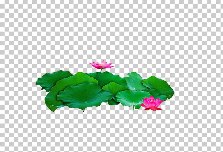 Mid-HD Multi-layer Material PNG, Clipart, Annual Plant, Aquatic Plant, Autumn, Download, Encapsulated Postscript Free PNG Download