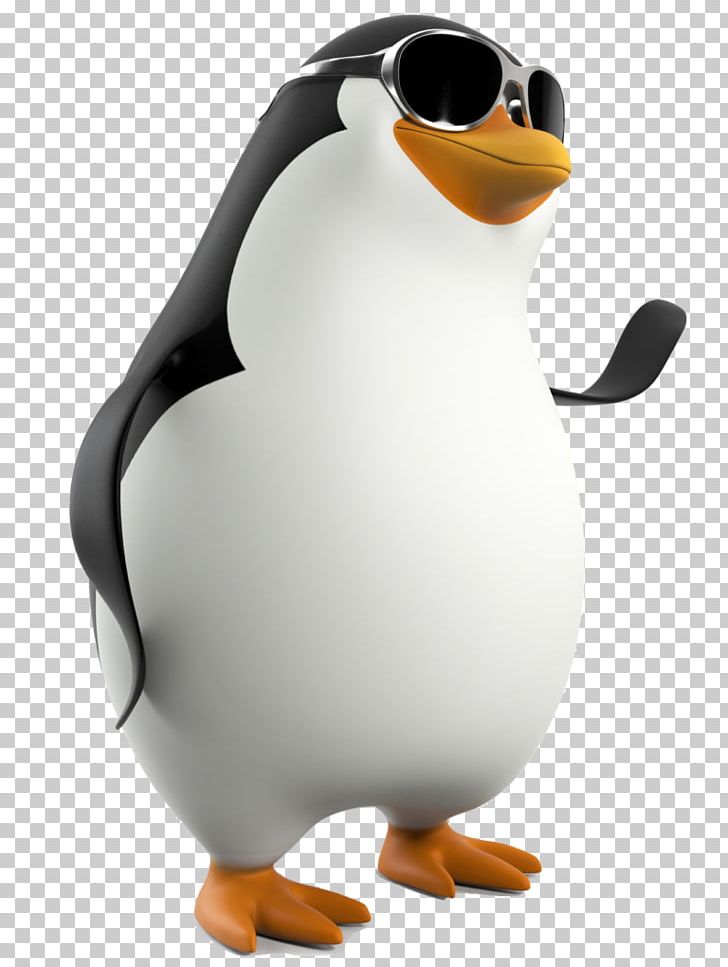 Penguin Portable Network Graphics Computer Icons PNG, Clipart, Animals, Beak, Bird, Computer Icons, Desktop Wallpaper Free PNG Download