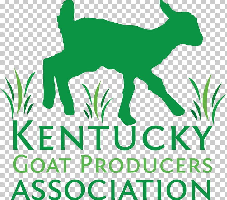 Sheep Goat Small Ruminant Research Kentucky PNG, Clipart, Animals, Area, Association, Black And White, Brand Free PNG Download