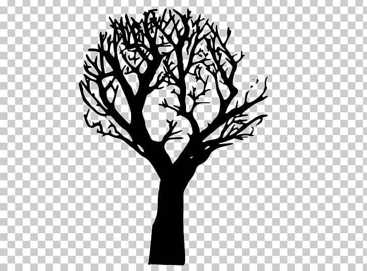 Tree Pine PNG, Clipart, Black And White, Branch, Cupressus, Flower, Free Content Free PNG Download