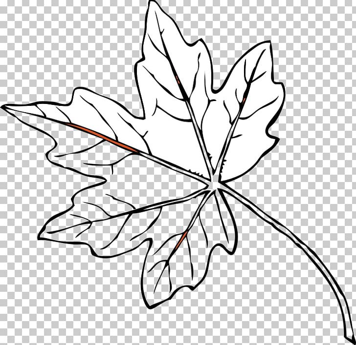 Autumn Leaf Color PNG, Clipart, Art, Artwork, Autumn, Autumn Leaf Color, Black And White Free PNG Download