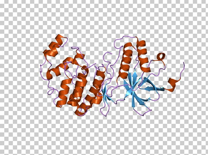 Catalan Wikipedia Encyclopedia P38 Mitogen-activated Protein Kinases Wikimedia Foundation PNG, Clipart, Art, Catalan, Catalan Wikipedia, Coi, Computer Wallpaper Free PNG Download