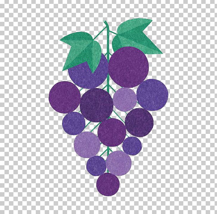 Common Grape Vine Vitis Californica Wine Illustration PNG, Clipart, Fruit, Fruit Nut, Grape, Grapes, Grapevine Family Free PNG Download