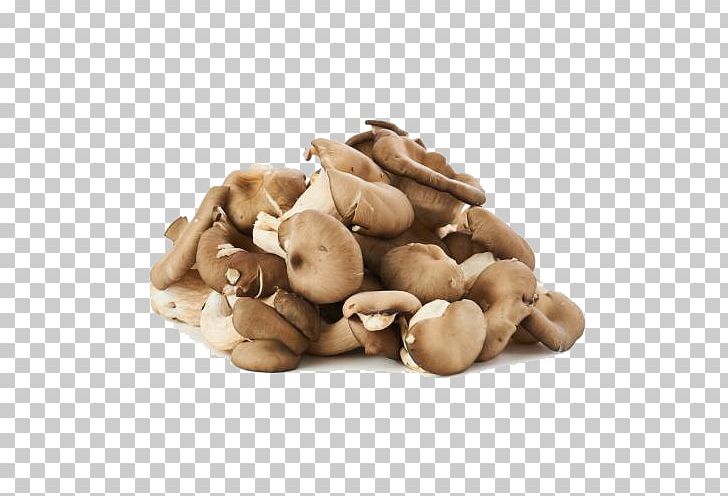 Common Mushroom Vegetable Fungus PNG, Clipart, Agaricus, Commodity, Common Mushroom, Cream Of Mushroom Soup, Euclidean Vector Free PNG Download