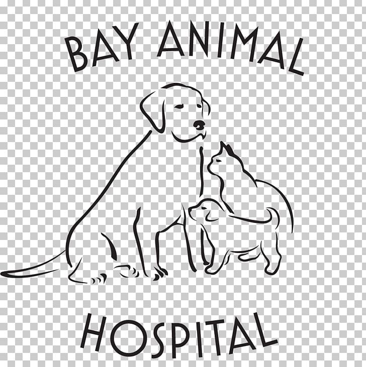 Dog Bay Animal Hospital Veterinarian Cat Pet PNG, Clipart, Angle, Animal, Animals, Area, Arm Free PNG Download