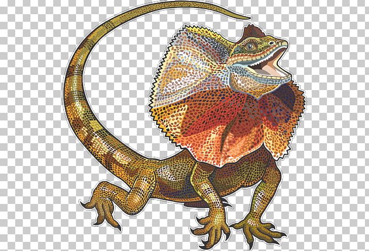 Frilled-neck Lizard Neck Frill Reptile PNG, Clipart, Agamidae, Animals, Art, Can Stock Photo, Drawing Free PNG Download