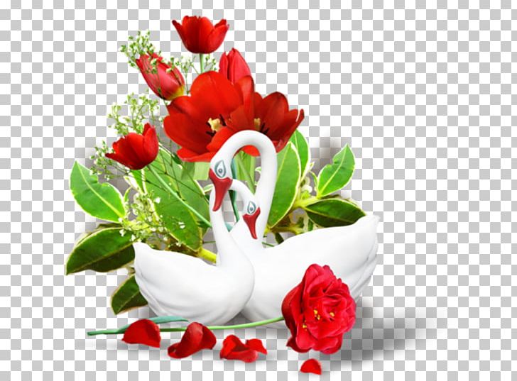 Garden Roses Startpage Ixquick Evening Google S PNG, Clipart, Afternoon, Cut Flowers, Evening, Floral Design, Floristry Free PNG Download