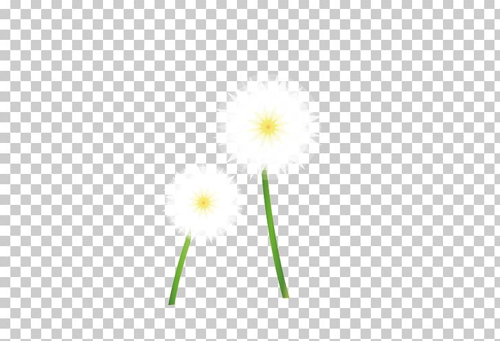 Petal Computer Pattern PNG, Clipart, Background White, Black White, Computer, Computer Wallpaper, Dandelion Free PNG Download