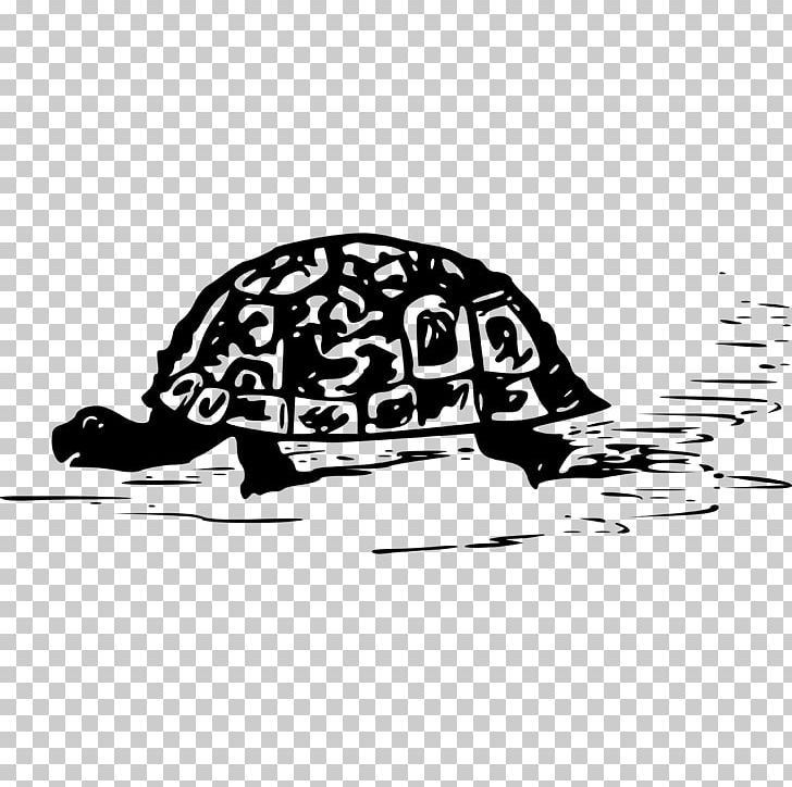 Sea Turtle Tortoise Reptile PNG, Clipart, Animal, Animals, Black, Black And White, Carnivoran Free PNG Download