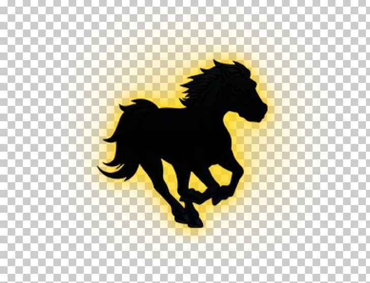 Walter Colton Stallion Mustang Student PNG, Clipart, Colt, Halter, Horse, Horse Like Mammal, Horse Supplies Free PNG Download