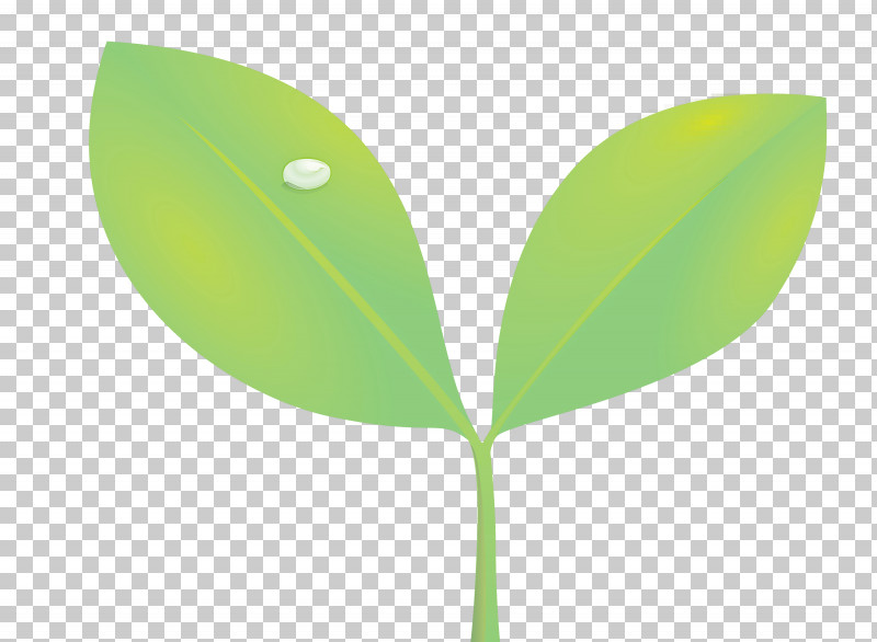 Sprout Bud Seed PNG, Clipart, Bud, Eucalyptus, Flower, Flush, Green Free PNG Download