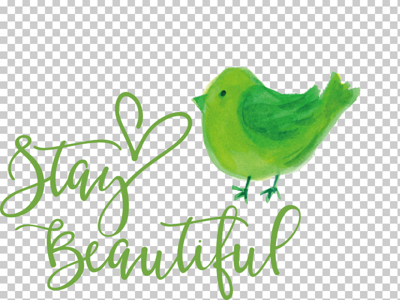Stay Beautiful Fashion PNG, Clipart, Beak, Biology, Birds, Fashion, Feather Free PNG Download