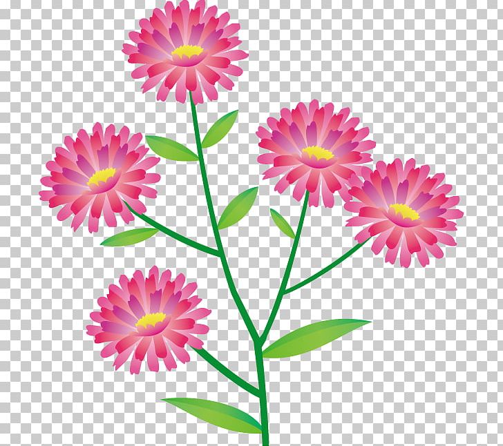 Flower Floral Design PNG, Clipart, Annual Plant, Aster, Autumn, Chrysanths, Cut Flowers Free PNG Download