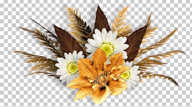 Flower Garden Nasturtium PNG, Clipart, Background Flowers, Bird, Blog, Centerblog, Cut Flowers Free PNG Download