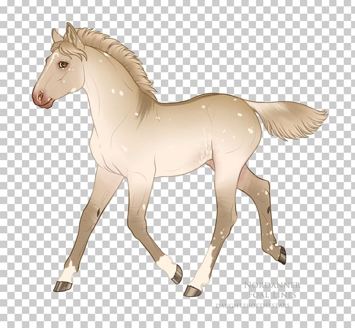 Foal Mustang Pony Stallion Mare PNG, Clipart, 15 December, Animal Figure, Bridle, Colt, Figurine Free PNG Download