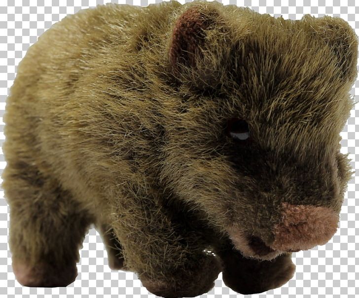 Wombat Stuffed Animals & Cuddly Toys Ty Inc. Hug Wikipedia PNG, Clipart, Animal, De Chinezen, Fur, Hug, Infant Free PNG Download