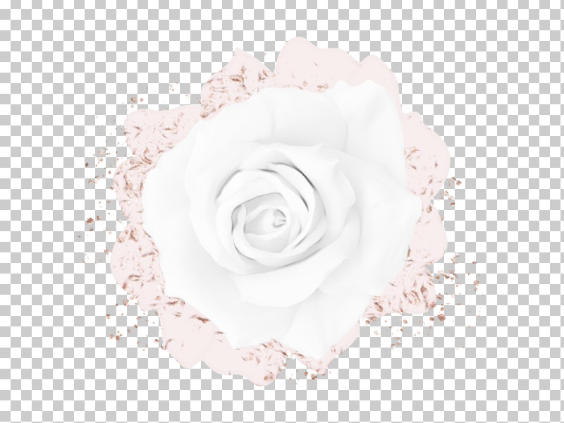 Garden Roses PNG, Clipart, Cut Flowers, Flower, Garden Roses, Paint, Petal Free PNG Download