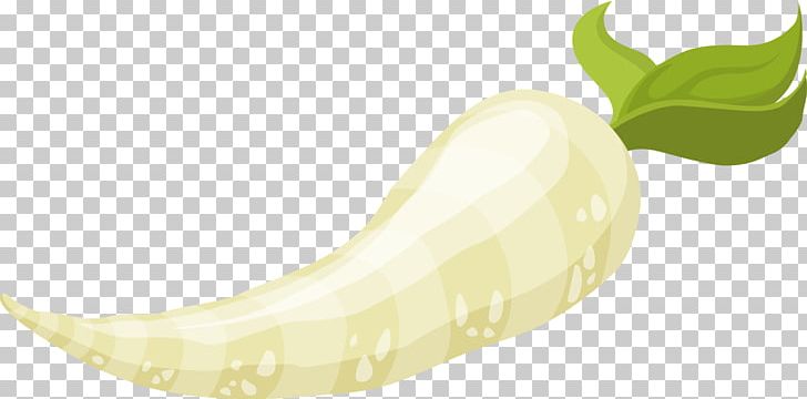 Root Vegetables Food Parsnip PNG, Clipart, Banana, Banana Family, Carrot, Cartoon, Clip Art Free PNG Download
