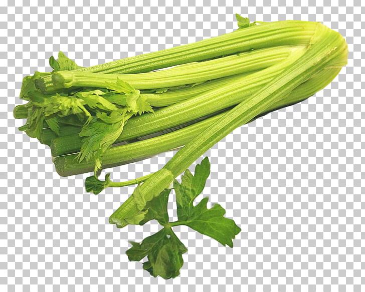 Celery Napa Cabbage Vegetable Ribollita PNG, Clipart, Brassica Oleracea, Cabbage, Carrot, Celery, Chard Free PNG Download
