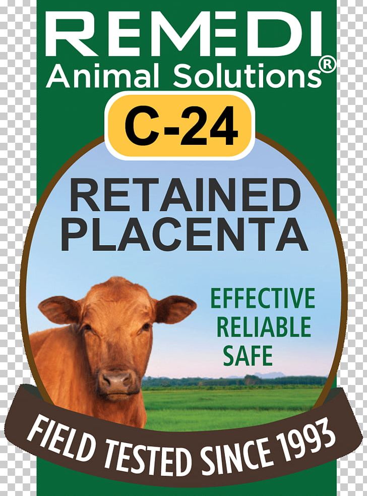 Cattle Homeopathy Preventive Healthcare Safety Remedi Animal Solutions PNG, Clipart, Advertising, Alfalfa, Animal, Beef Cattle, Brand Free PNG Download