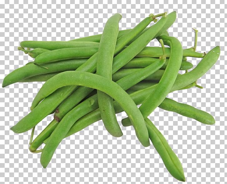 Green Bean Vegetable Common Bean Recipe PNG, Clipart, Bean, Black Beans, Broad Bean, Commodity, Common Bean Free PNG Download