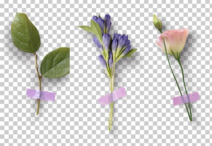 Petal Flower Purple PNG, Clipart, Artificial Flower, Bouquet Of Flowers, Carnations, Cut Flowers, Designer Free PNG Download