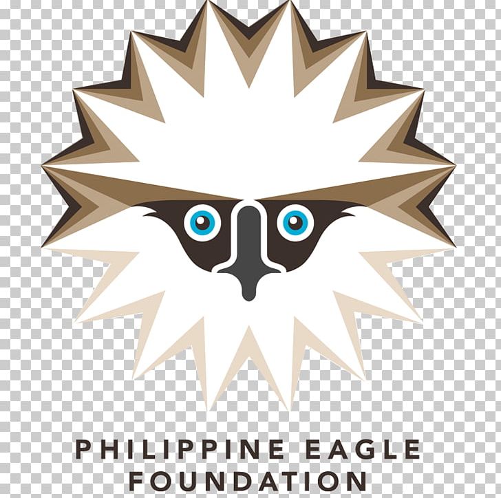 The Philippine Eagle Foundation Bird Of Prey PNG, Clipart, Animals, Bird, Bird Of Prey, Blackandwhite Hawkeagle, Brand Free PNG Download