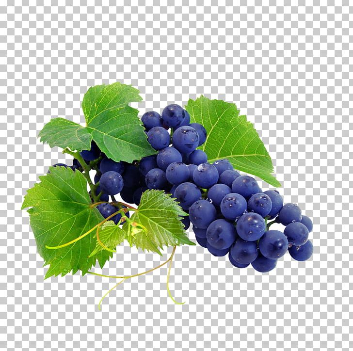 Cabernet Sauvignon Cabernet Franc Red Wine Somerset Ridge Vineyard & Winery PNG, Clipart, Bilberry, Blackcurrant, Black Grapes, Blueberry, Common Grape Vine Free PNG Download