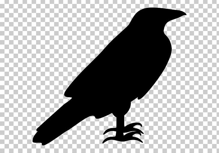 Computer Icons Silhouette PNG, Clipart, American Crow, Animals, Beak, Bird, Black And White Free PNG Download