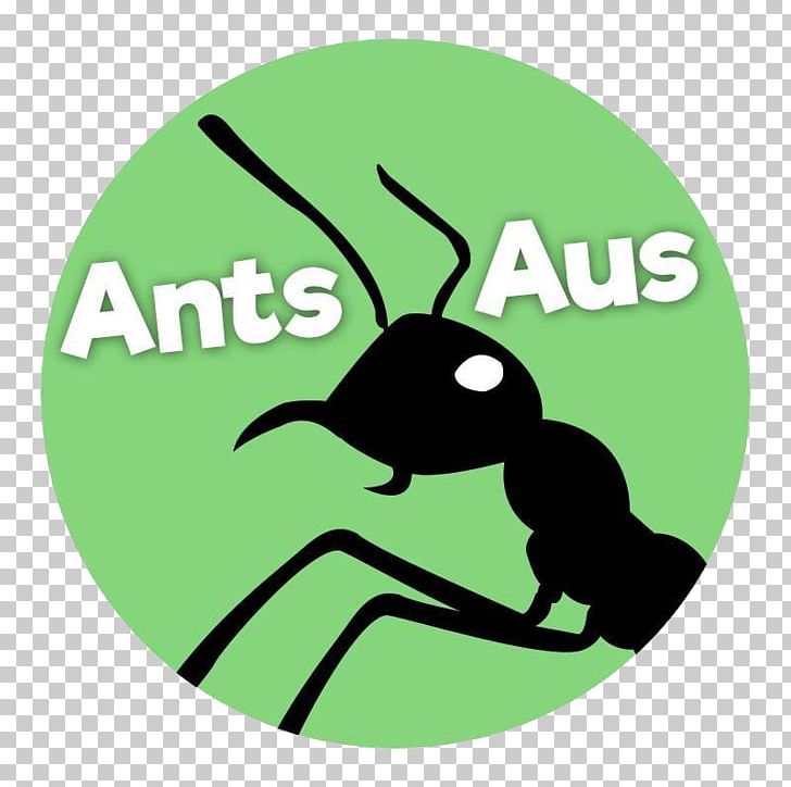 Argentine Ant Aus Ants Ant-keeping Messor PNG, Clipart, Animals, Ant, Antkeeping, Aphaenogaster, Argentine Ant Free PNG Download