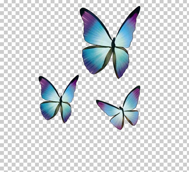 Butterfly Blue Drawing PNG, Clipart, Blue, Blue Abstract, Blue Background, Blue Eyes, Blue Flower Free PNG Download