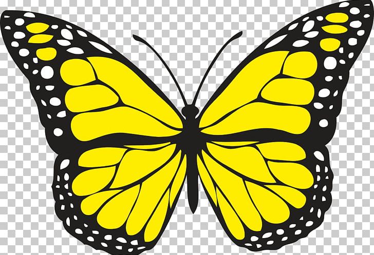 Butterfly Yellow PNG, Clipart, Arthropod, Black And White, Blue, Brush Footed Butterfly, Butterflies And Moths Free PNG Download