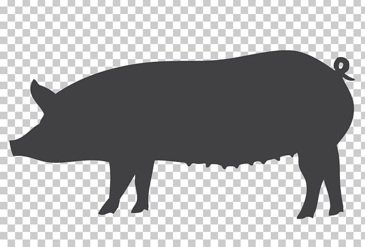 Domestic Pig Spare Ribs Cut Of Pork Ham Bacon PNG, Clipart, Bacon, Black And White, Butcher, Cattle Like Mammal, Chef Pig Free PNG Download