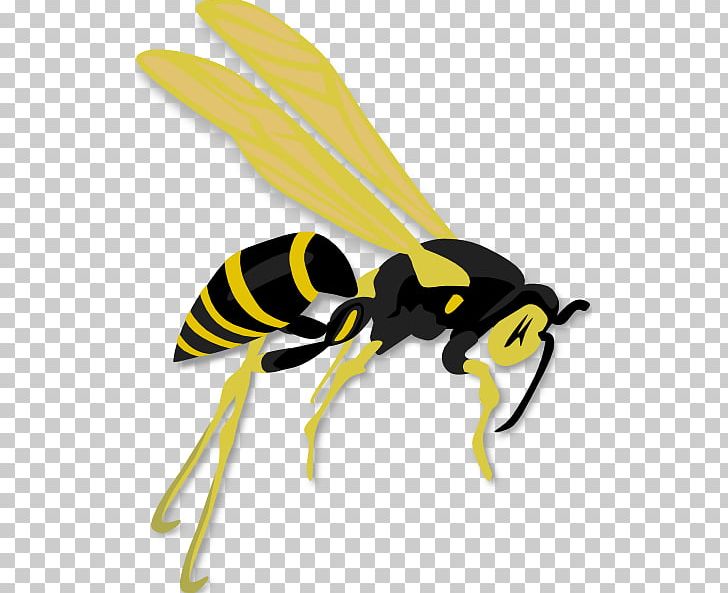 Hornet Western Honey Bee Wasp PNG, Clipart, Arthropod, Bee, Bee Clipart, Download, Fly Free PNG Download