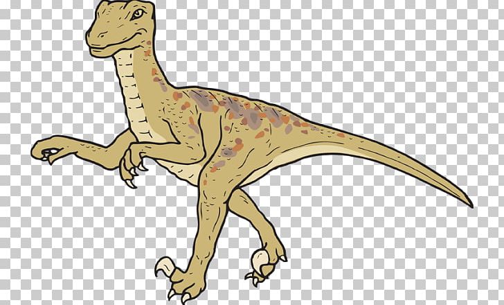 Velociraptor Tyrannosaurus Dinosaur Search Triceratops PNG, Clipart, Animal Figure, Cartoon, Cdr, Clip, Dinosaur Free PNG Download