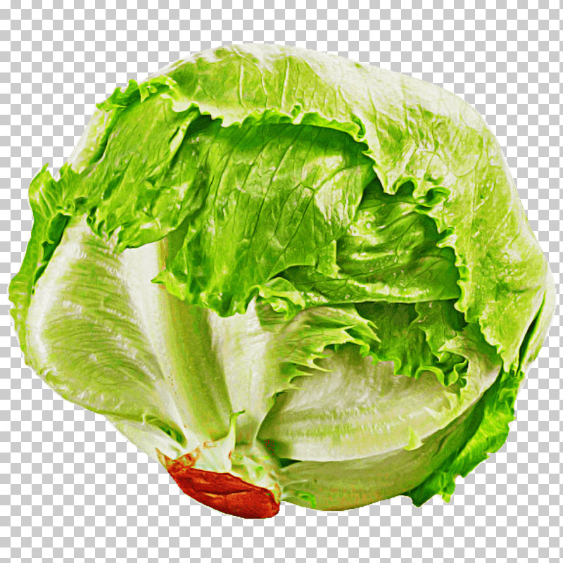 Leaf Vegetable Lettuce Vegetable Iceburg Lettuce Food PNG, Clipart, Cabbage, Food, Iceburg Lettuce, Leaf, Leaf Vegetable Free PNG Download