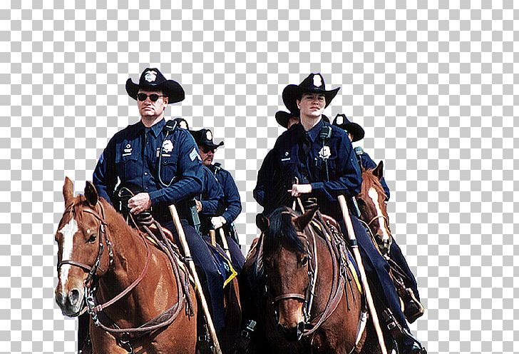 Horse Denver Police Protective Association Rein Mounted Police PNG, Clipart, Animals, Cowboy, Denver, Horse, Horse Harness Free PNG Download