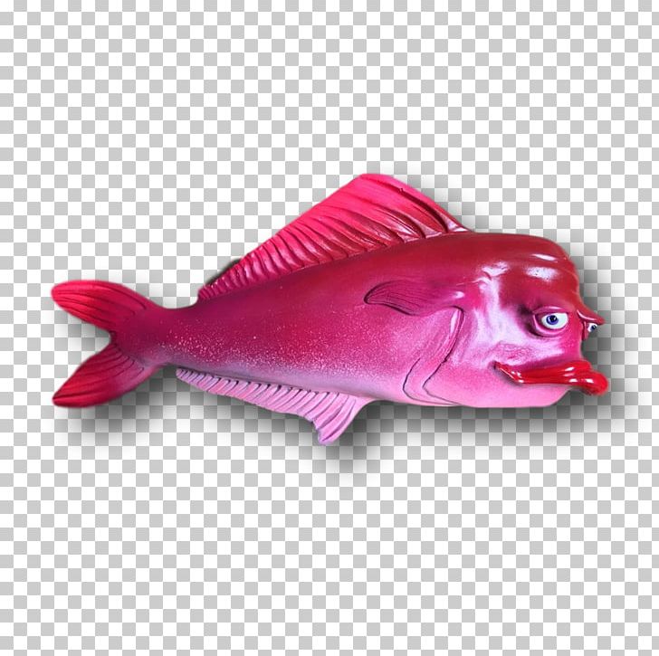 Northern Red Snapper PNG, Clipart, Fish, Magenta, Northern Red Snapper, Organism, Others Free PNG Download