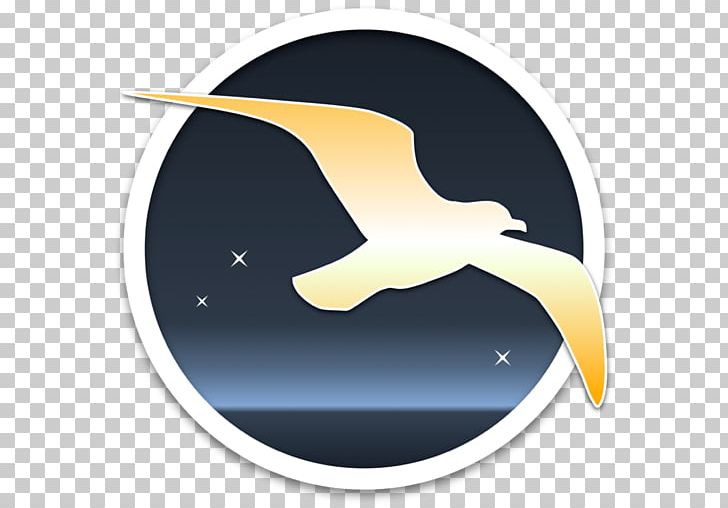 Dong Thap Museum App Store Information Research Albatross PNG, Clipart, Albatross, App Store, Beak, Doctorate, Dong Thap Free PNG Download
