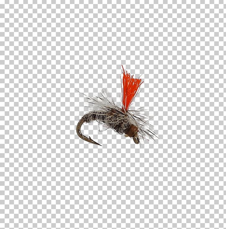 Fly Fishing Artificial Fly Fishing Baits & Lures Recreational Fishing PNG, Clipart, Arthropod, Artificial Fly, Fishing, Fishing Bait, Fishing Baits Lures Free PNG Download