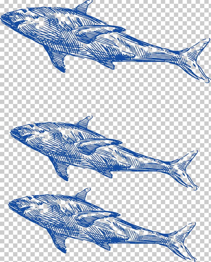 Shark Common Bottlenose Dolphin Whale PNG, Clipart, Animals, Encapsulated Postscript, Hand Drawn, Mammal, Marine Biology Free PNG Download