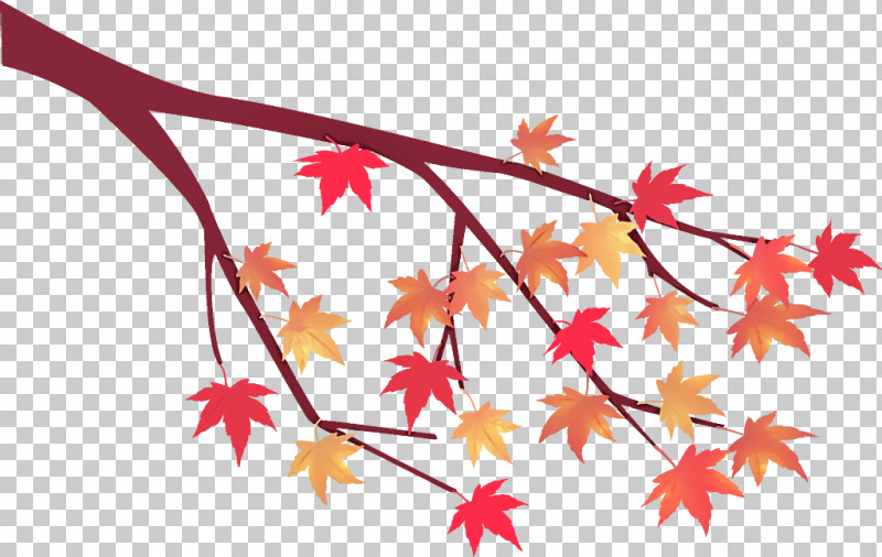 Maple Tree Branch Maple Tree Autumn PNG, Clipart, Autumn, Black Maple, Branch, Flower, Leaf Free PNG Download