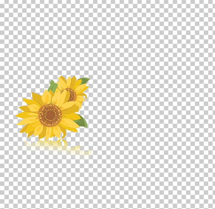 Common Sunflower Sunflower Seed Sunflower Oil Daisy Family Ingredient PNG, Clipart, Common Sunflower, Cut Flowers, Daisy, Daisy Family, Flower Free PNG Download