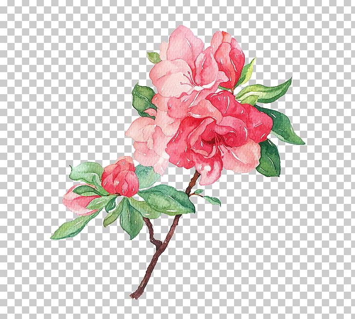 Garden Roses Flower Illustration PNG, Clipart, Artificial Flower, Branch, Camellia, Design, Flower Arranging Free PNG Download