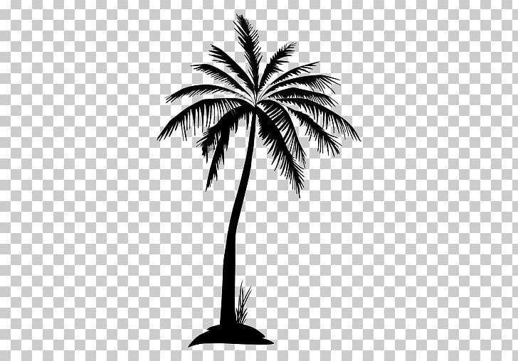 Arecaceae Tree Silhouette PNG, Clipart, Arecaceae, Arecales, Black And White, Borassus Flabellifer, Clip Art Free PNG Download