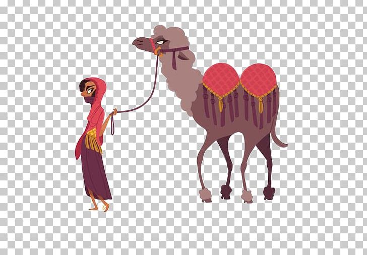 Dromedary Sahara Cartoon Illustration PNG, Clipart, Animals, Animation, Arabian Camel, Balloon Cartoon, Boy Cartoon Free PNG Download