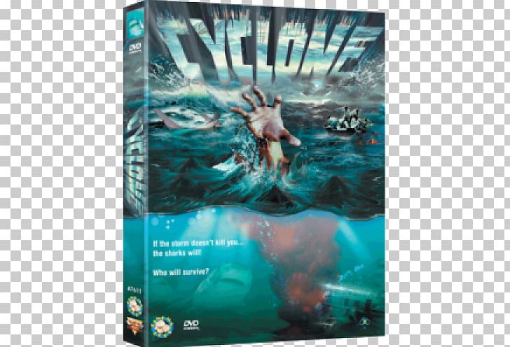 Marine Mammal Marine Biology Water Shark PNG, Clipart, Advertising, Aqua, Biology, Chaotic Wrestling, Dvd Free PNG Download