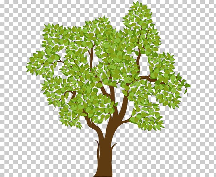Tree PNG, Clipart, Art, Branch, Download, Flowering Plant, Flowerpot Free PNG Download